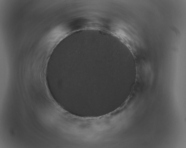 X0000116450001200912291956