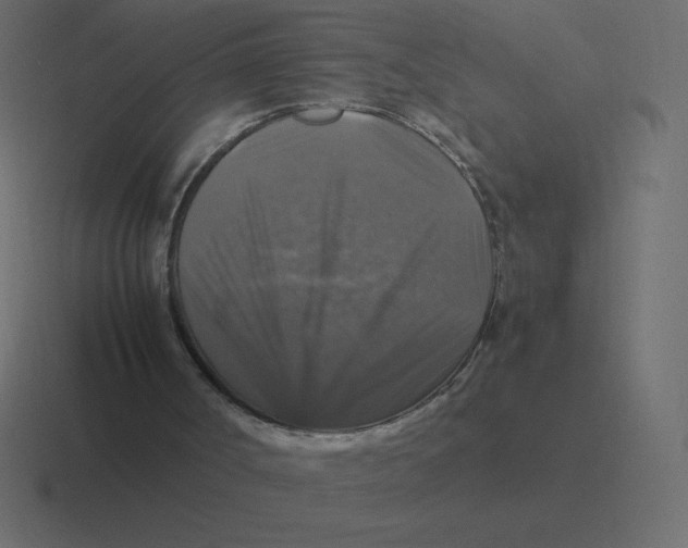X0000116450002200912291956