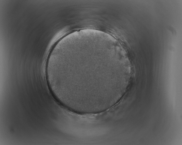 X0000116450004200912291956