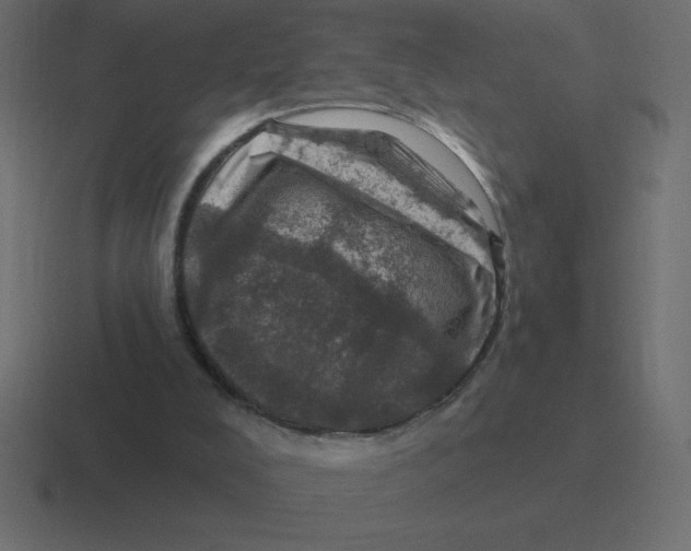 X0000116450008200912291956