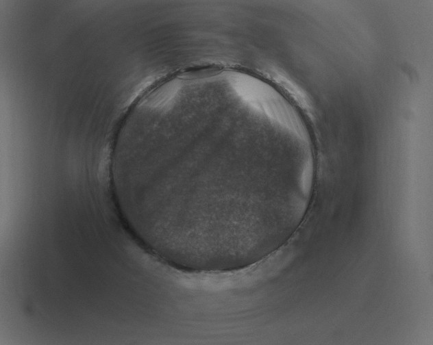 X0000116450009200912291956