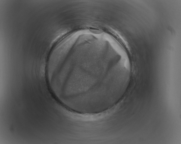 X0000116450010200912291956