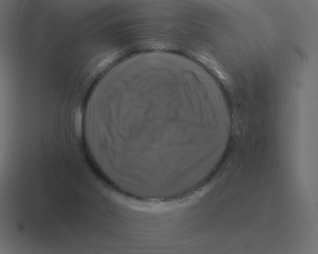 X0000116450014200912291956