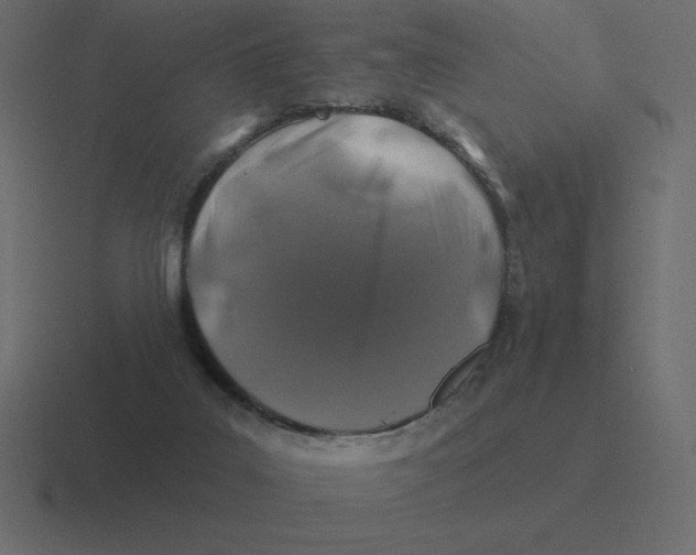 X0000116450019200912291956