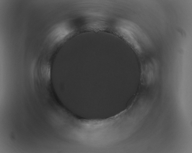 X0000116450021200912291956
