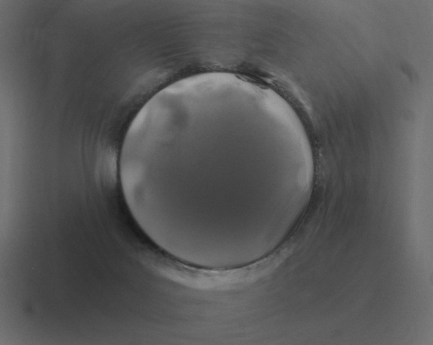 X0000116450027200912291956