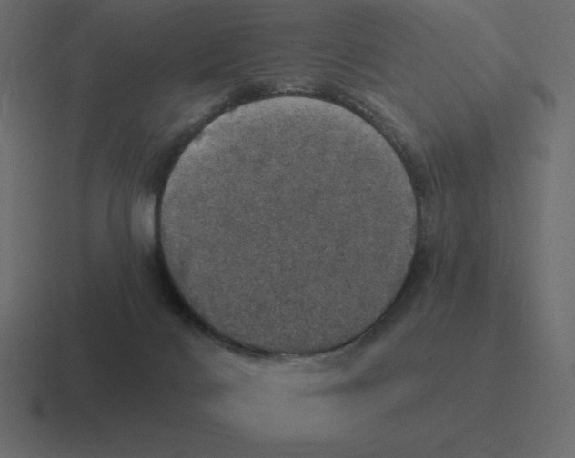 X0000116450028200912291956