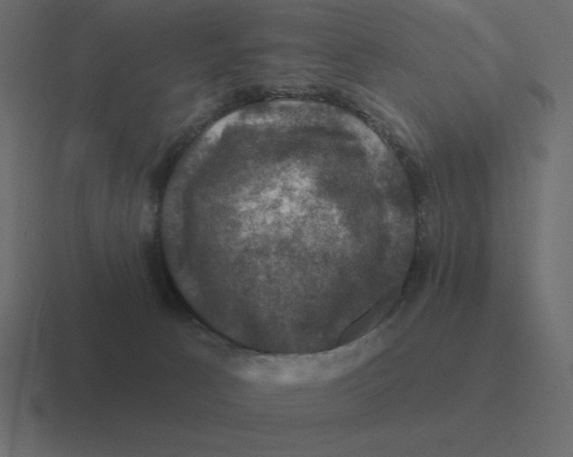 X0000116450033200912291956