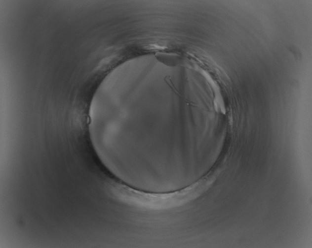 X0000116450035200912291956