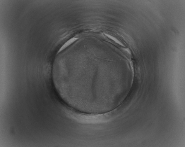 X0000116450036200912291956
