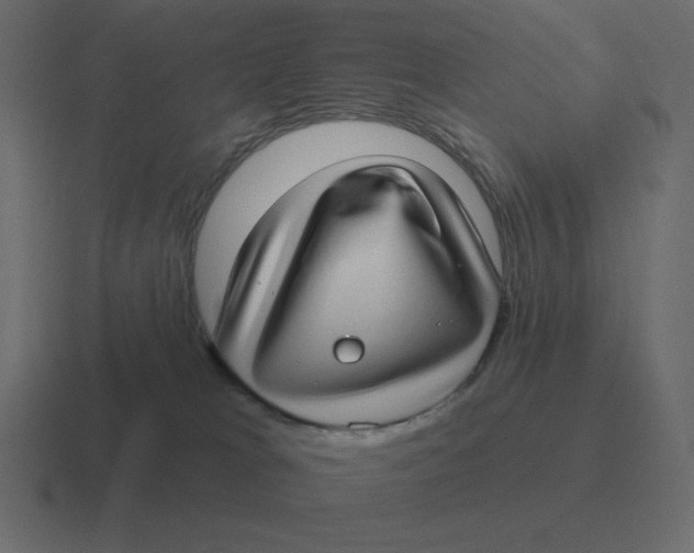 X0000116450037200912291956