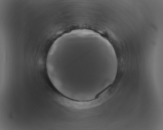 X0000116450039200912291956