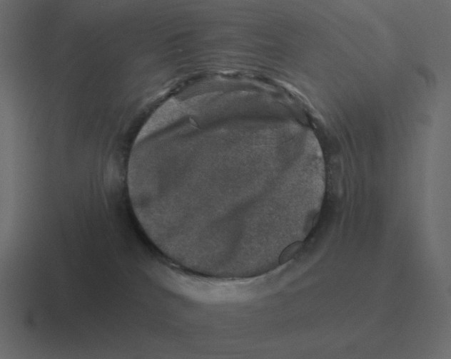 X0000116450040200912291956