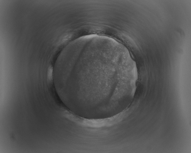 X0000116450041200912291956