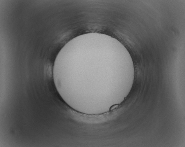 X0000116450042200912291956