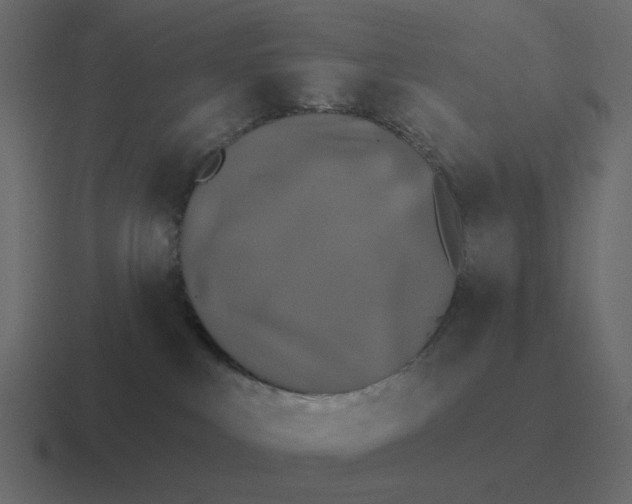 X0000116450043200912291956