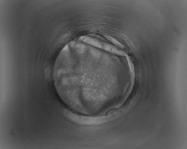 X0000116450044200912291956