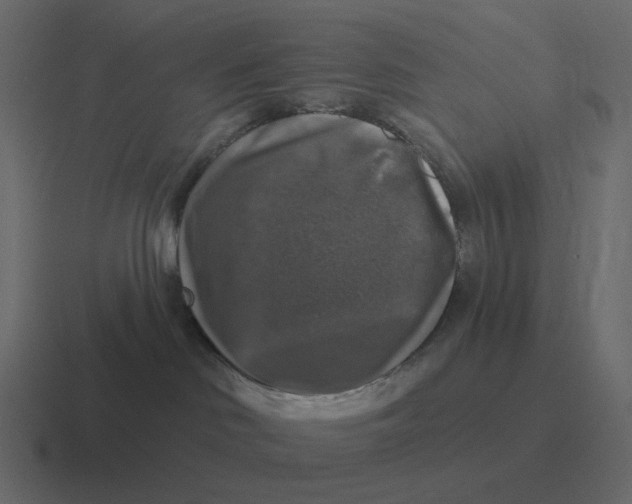 X0000116450046200912291956
