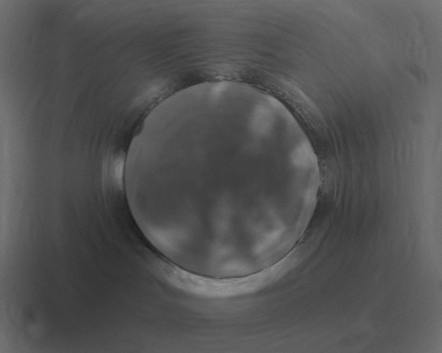 X0000116450047200912291956