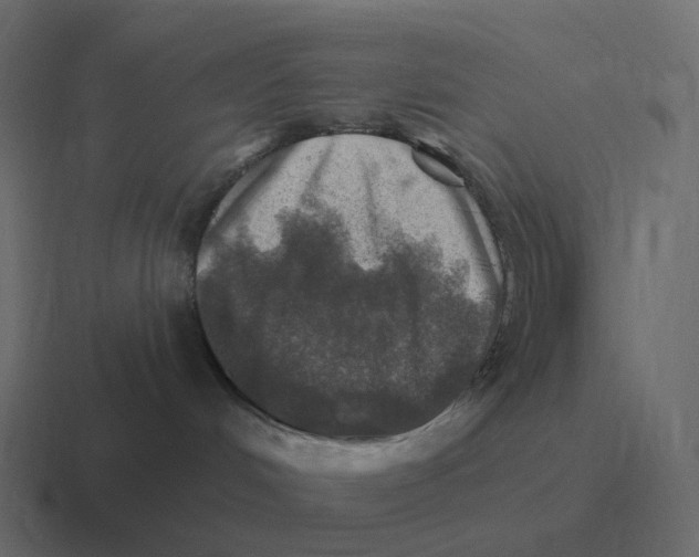 X0000116450048200912291956