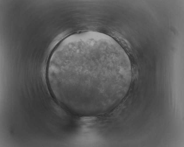X0000116450051200912291955