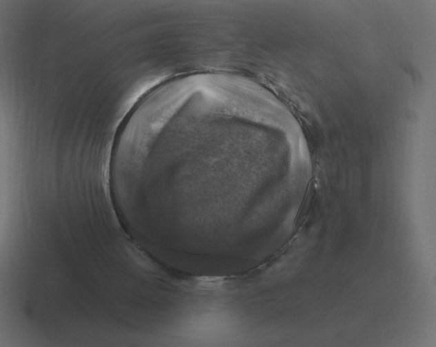 X0000116450052200912291955