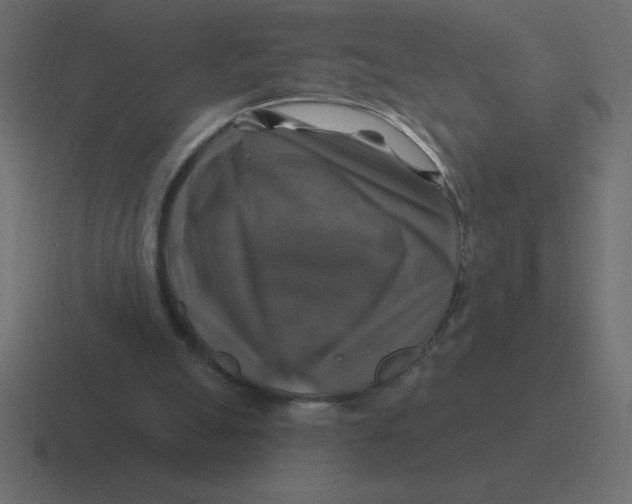 X0000116450055200912291955