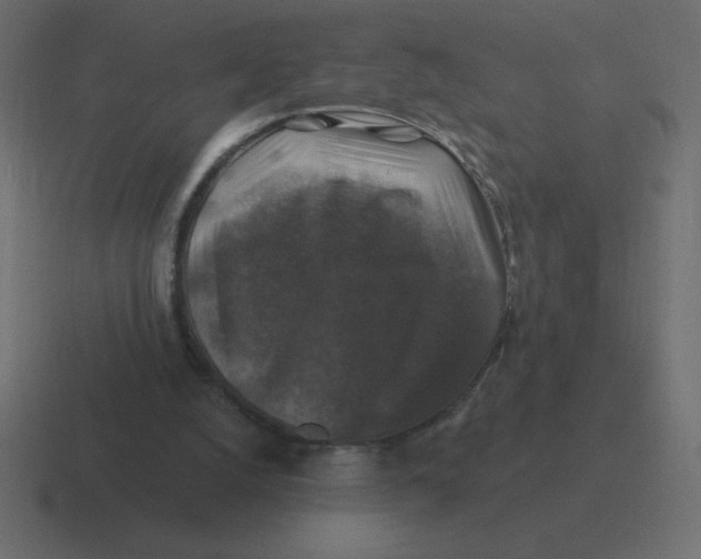 X0000116450056200912291955