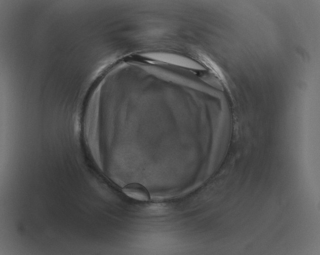X0000116450059200912291955