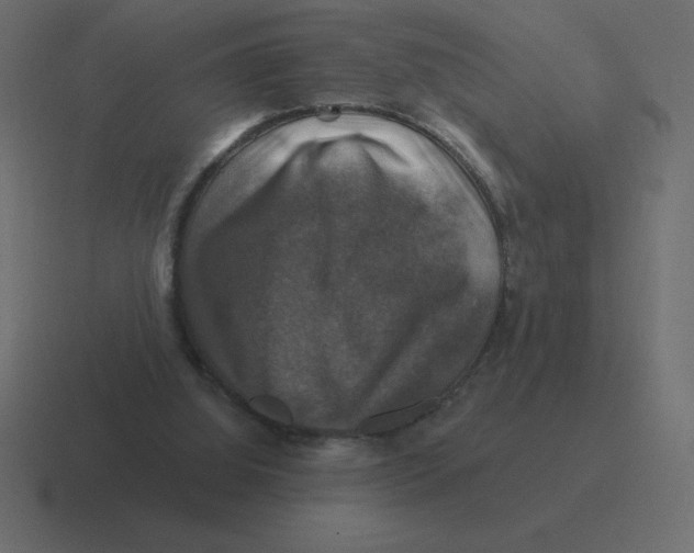 X0000116450060200912291955