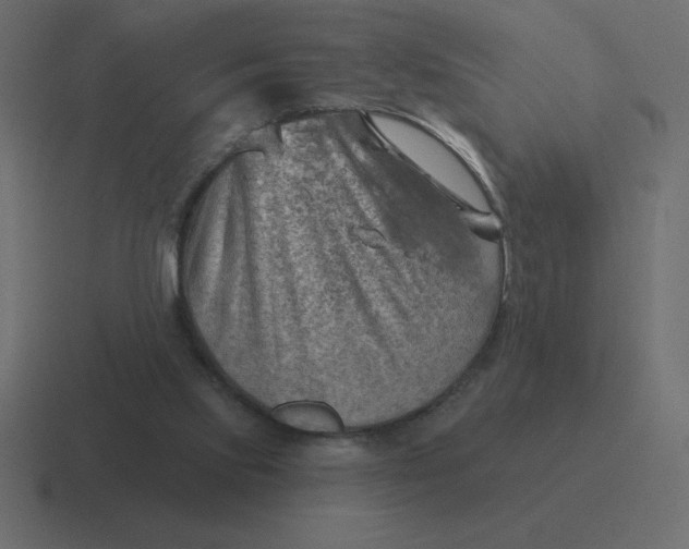 X0000116450061200912291955