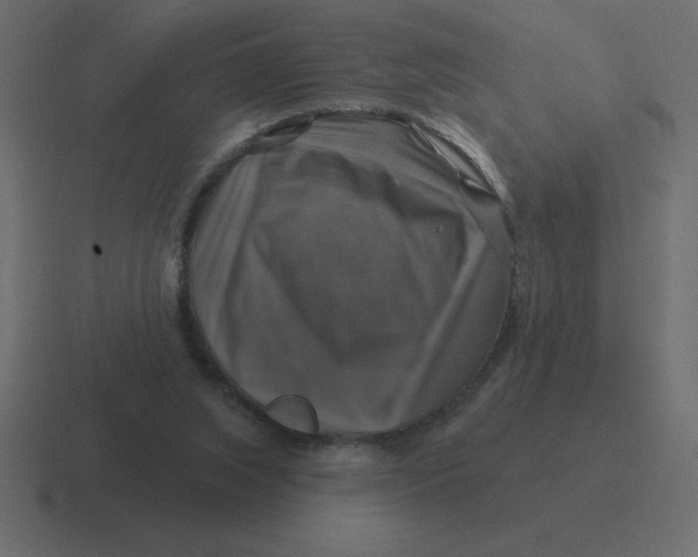 X0000116450063200912291955