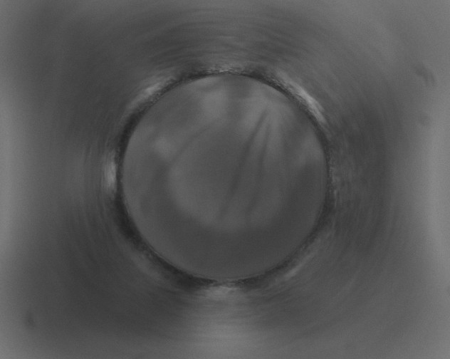 X0000116450067200912291955