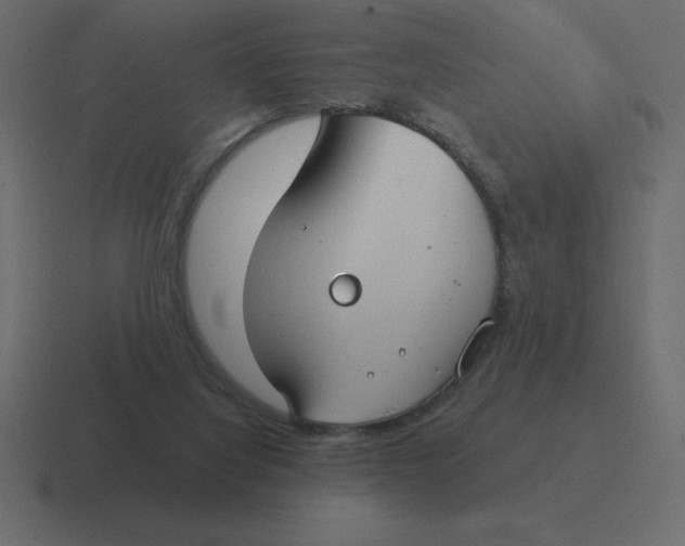 X0000116450068200912291955