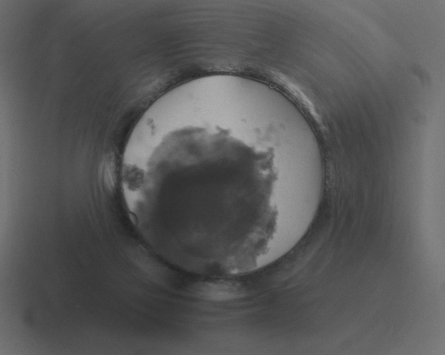 X0000116450069200912291955