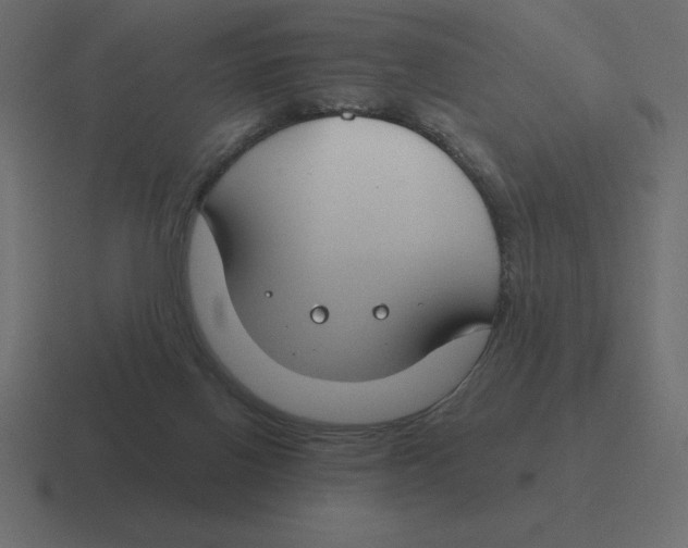 X0000116450070200912291955