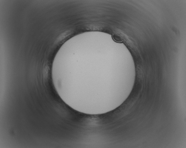 X0000116450071200912291955