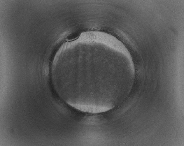 X0000116450072200912291955