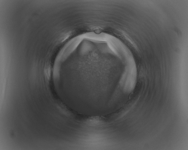 X0000116450076200912291955