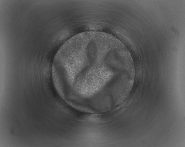 X0000116450078200912291955