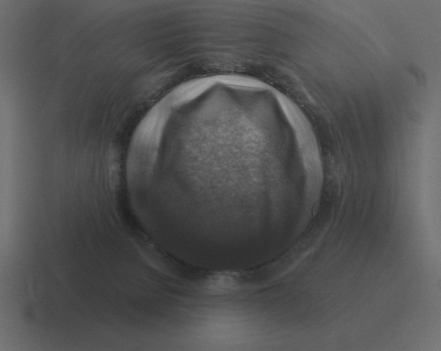 X0000116450080200912291955