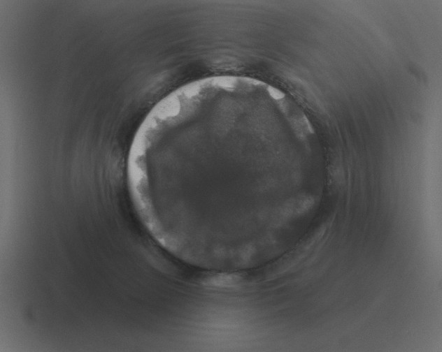 X0000116450081200912291955