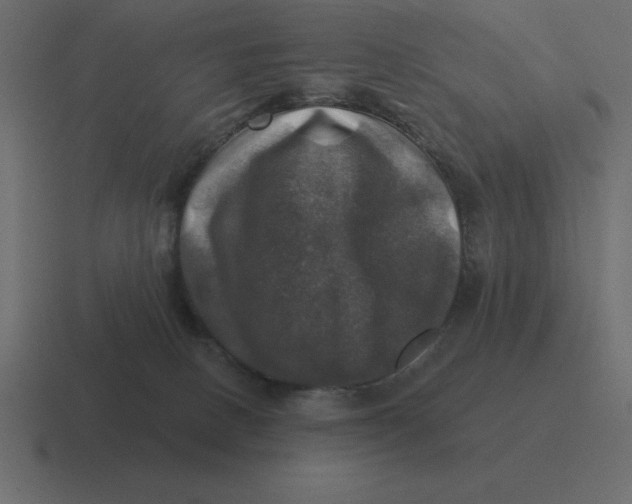 X0000116450082200912291955