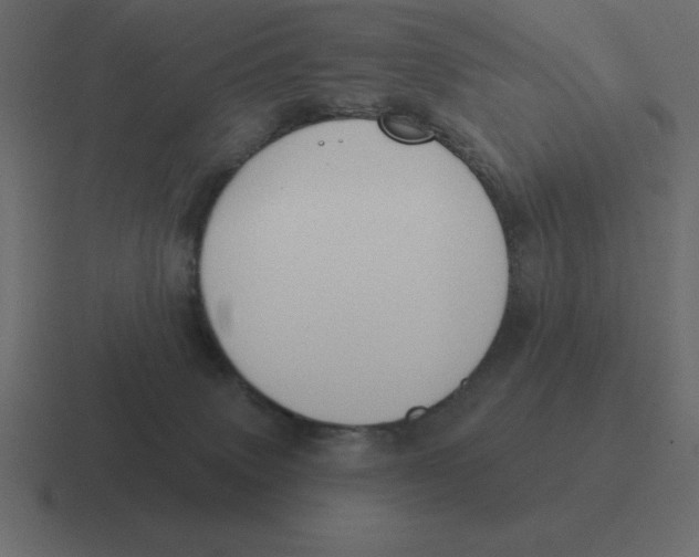 X0000116450083200912291955