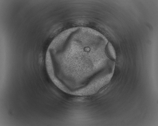 X0000116450086200912291956