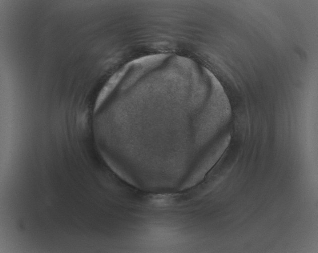 X0000116450088200912291956