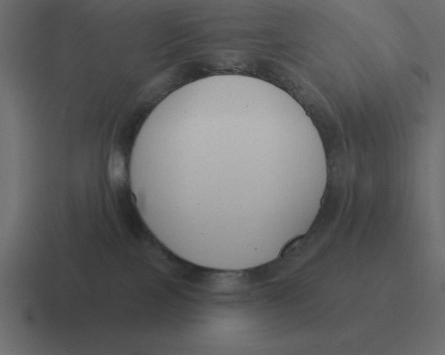 X0000116450089200912291956