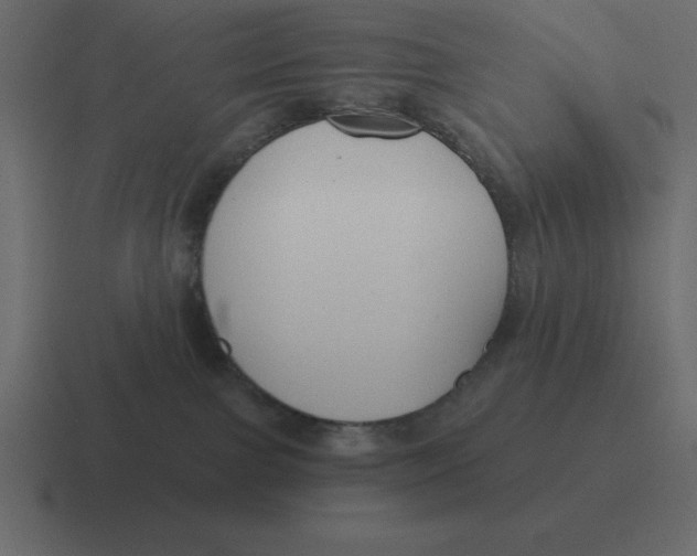 X0000116450091200912291956
