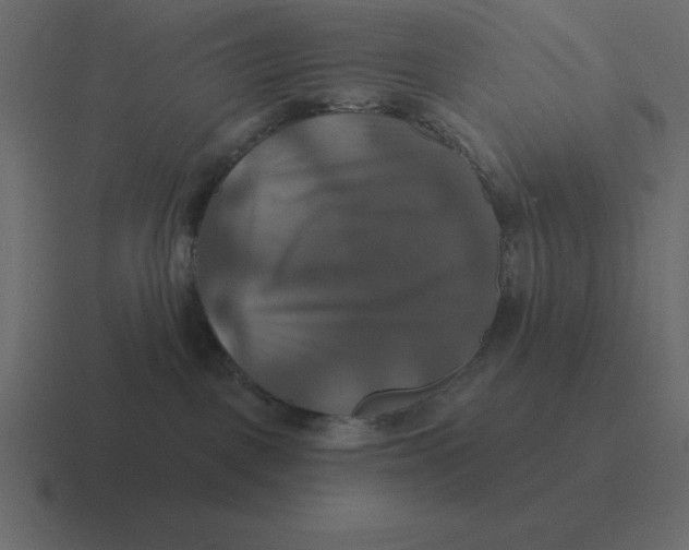 X0000116450093200912291956