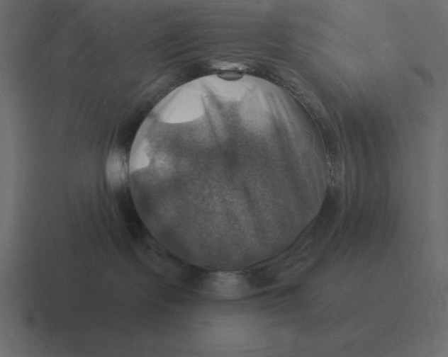 X0000116450095200912291956